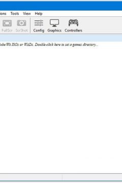Dolphin Video game emulator