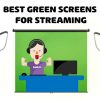 Best Green Screen for Streaming