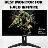 monitor for halo infinite