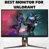 monitor for valorant