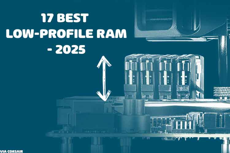 Low profile RAM